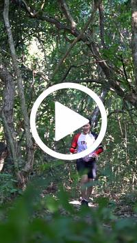 BIB:  <button type="button" onclick="openModal(28064020)" class="btn btn-primary btn-sm float-right" data-toggle="modal" data-target=".modal-high-quality">
                <i class="fa fa-download"></i> Download
                </button>